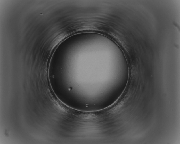 X0000093381129200710191130