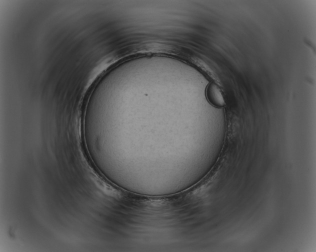 X0000093381130200710191130