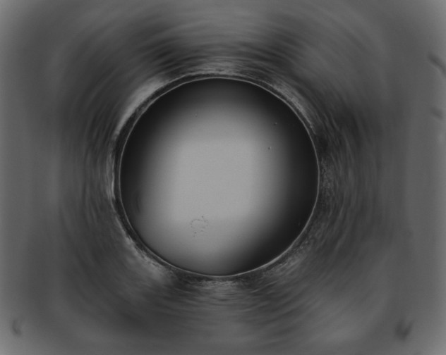 X0000093381131200710191130