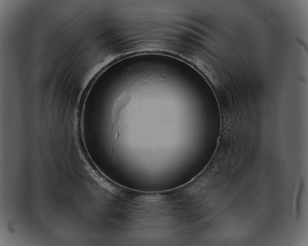 X0000093381134200710191130
