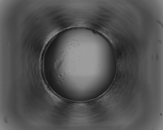 X0000093381135200710191130