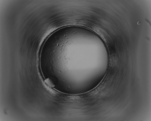 X0000093381136200710191130