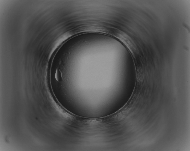 X0000093381139200710191130