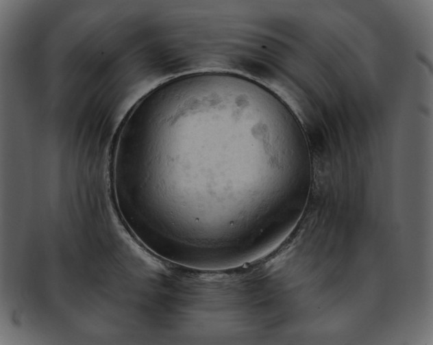 X0000093381142200710191130