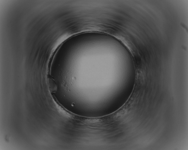 X0000093381143200710191130