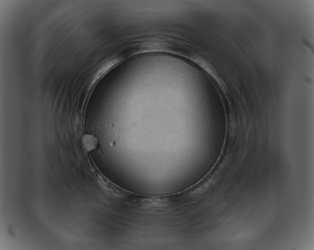 X0000093381145200710191130