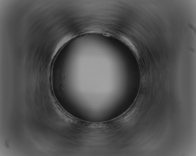 X0000093381146200710191130
