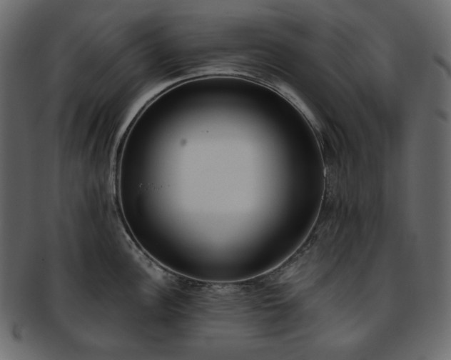 X0000093381148200710191130