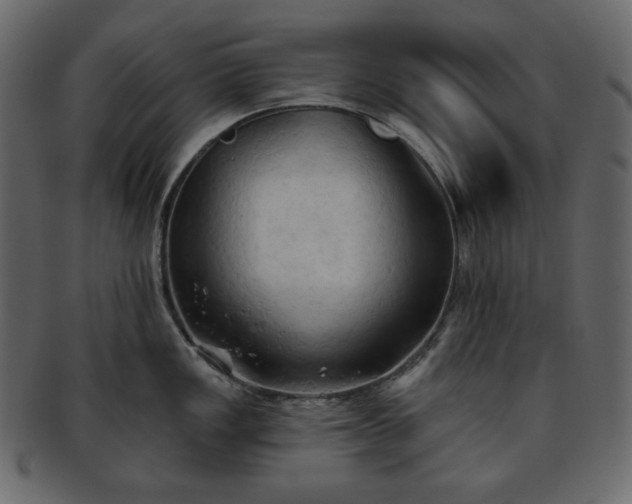 X0000093381149200710191130