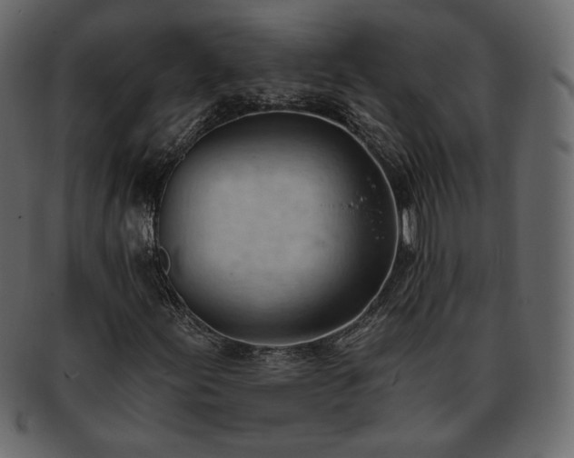 X0000093381155200710191129