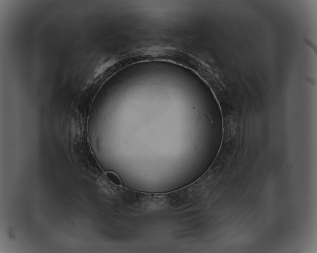 X0000093381158200710191129
