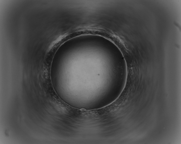 X0000093381159200710191129