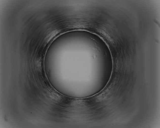X0000093381162200710191129