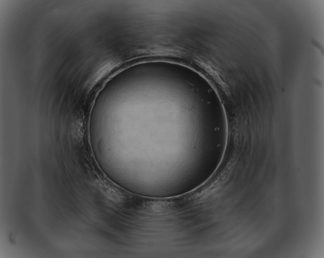 X0000093381163200710191129