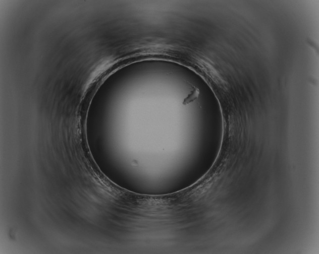 X0000093381164200710191129