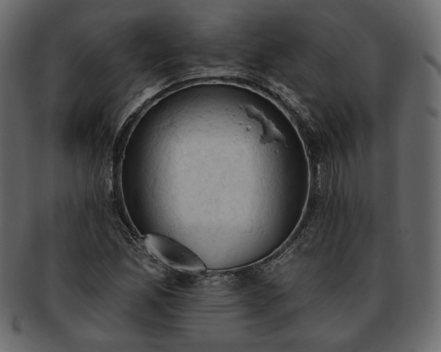 X0000093381165200710191129