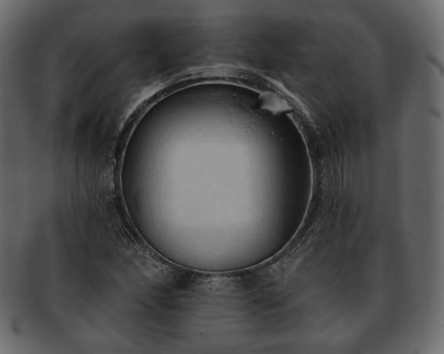 X0000093381166200710191129