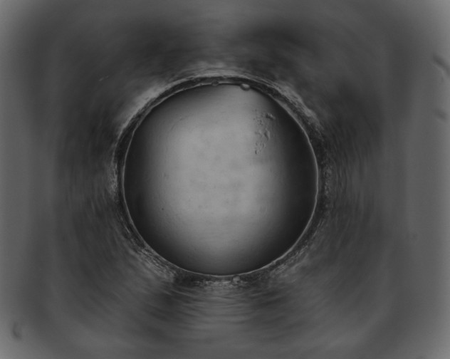 X0000093381167200710191129