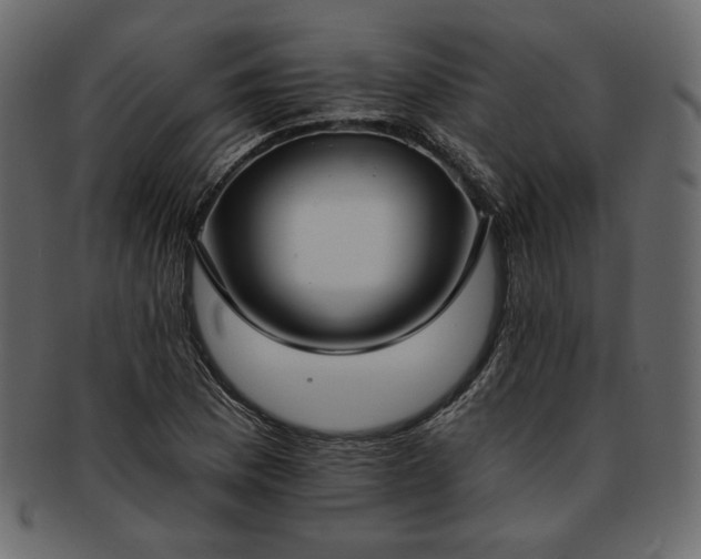 X0000093381169200710191129