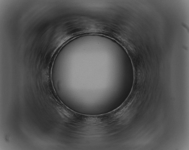 X0000093381170200710191129