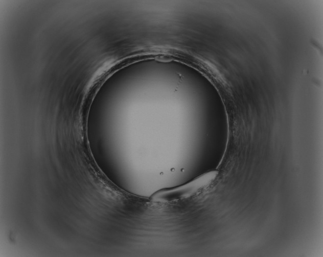 X0000093381172200710191129