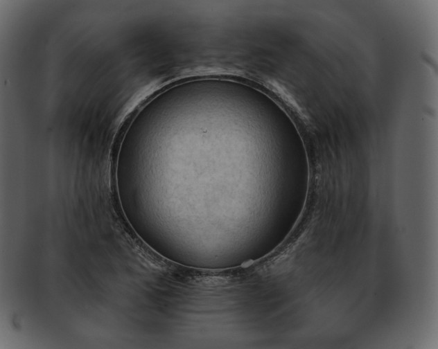 X0000093381173200710191129