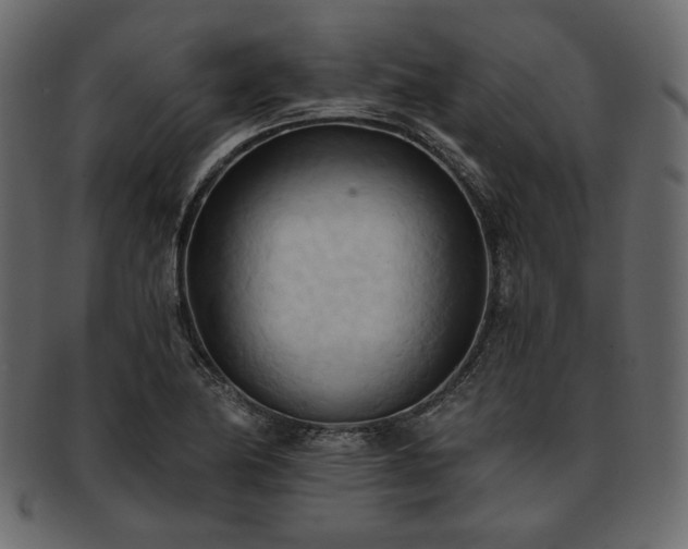 X0000093381174200710191129