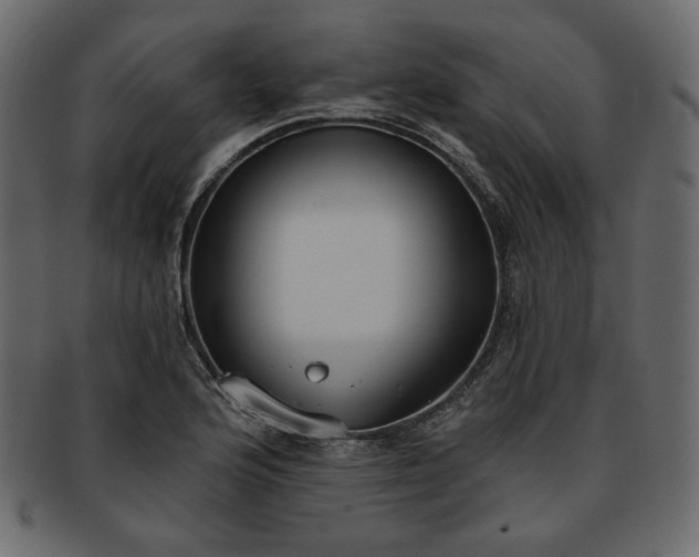 X0000093381176200710191129