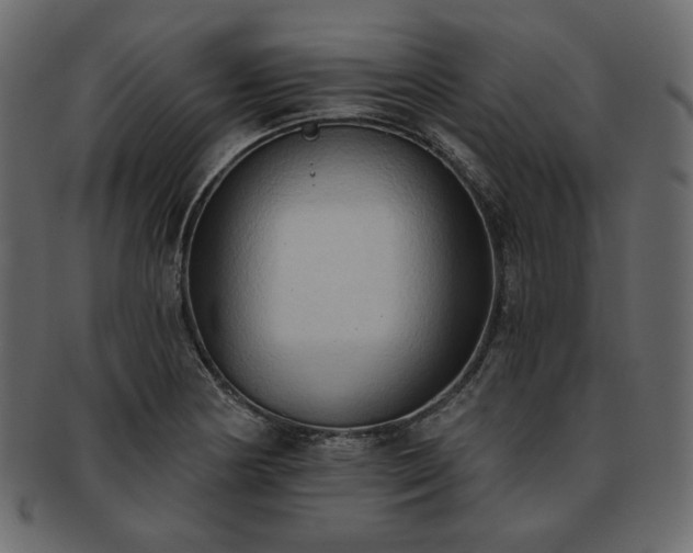 X0000093381178200710191129