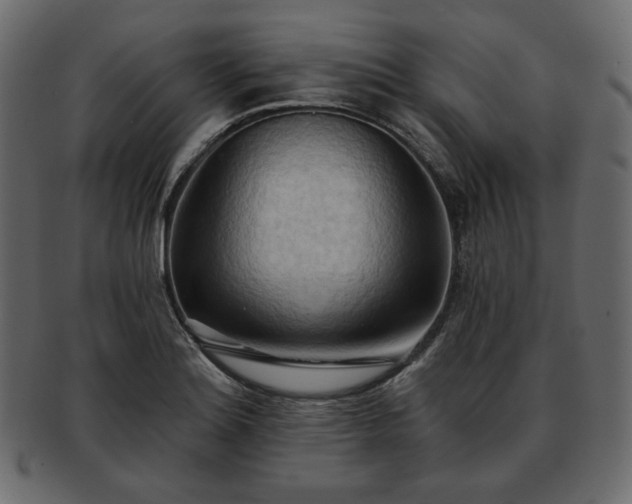 X0000093381180200710191129