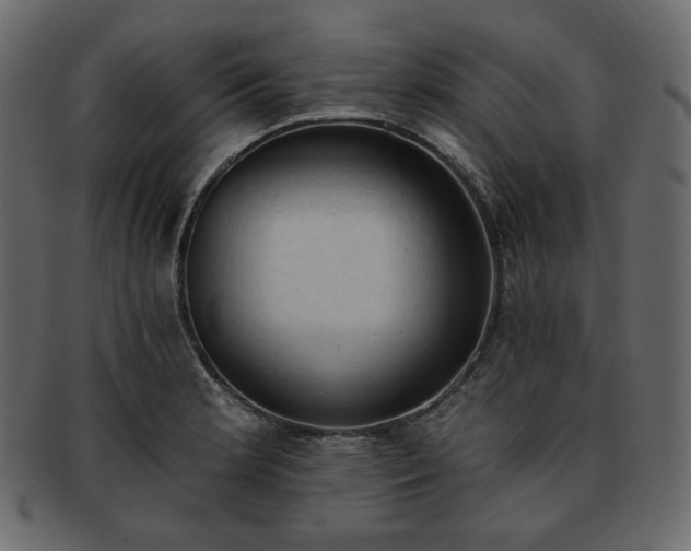 X0000093381181200710191129