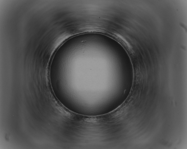 X0000093381182200710191129