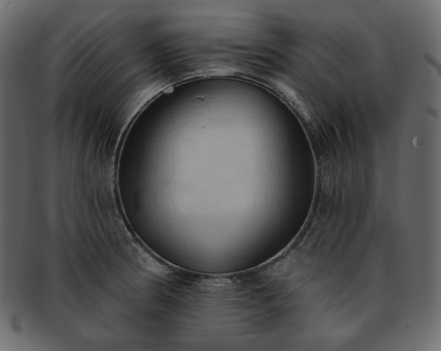 X0000093381186200710191129