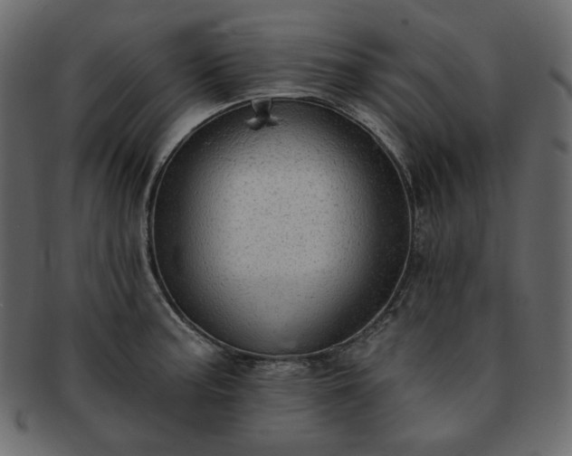 X0000093381187200710191129