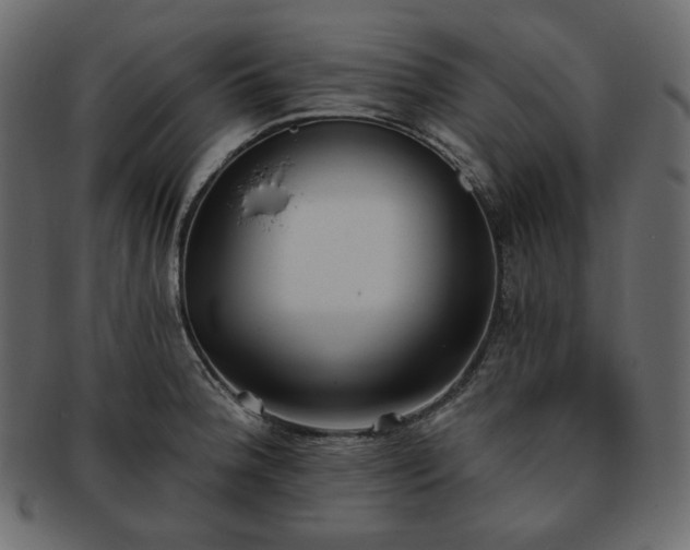 X0000093381188200710191129