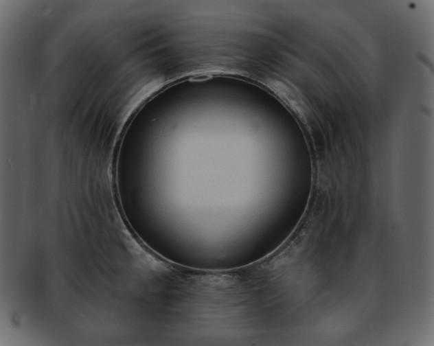X0000093381189200710191129