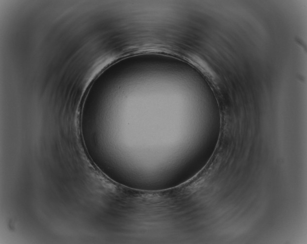 X0000093381190200710191129