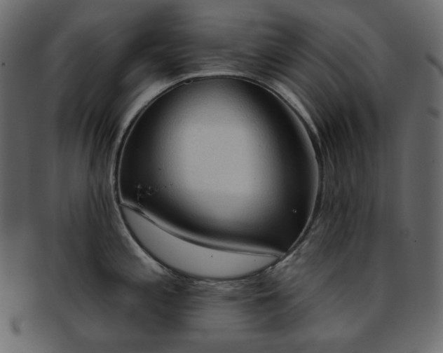 X0000093381197200710191129