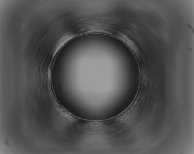 X0000093381198200710191129