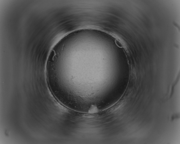 X0000093381199200710191129