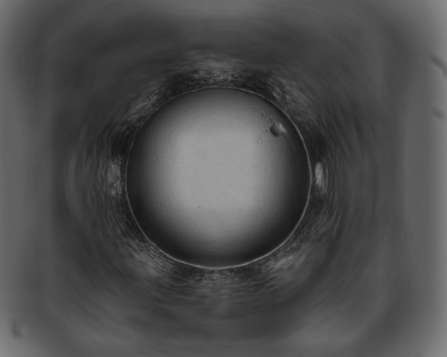 X0000093381203200710191128