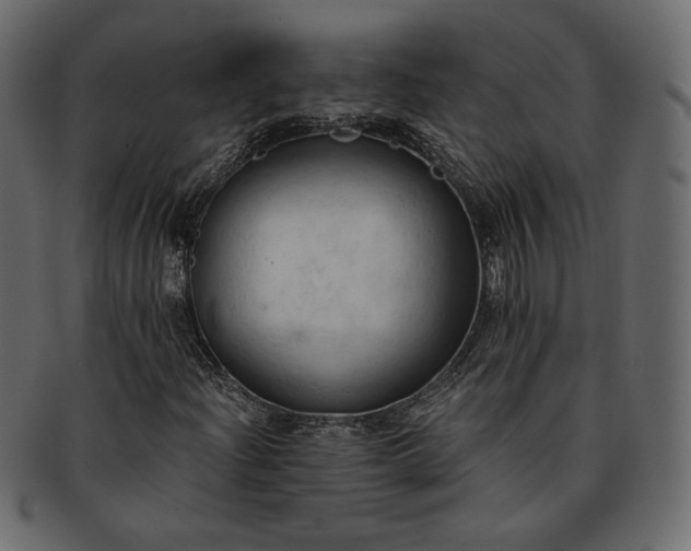 X0000093381204200710191128