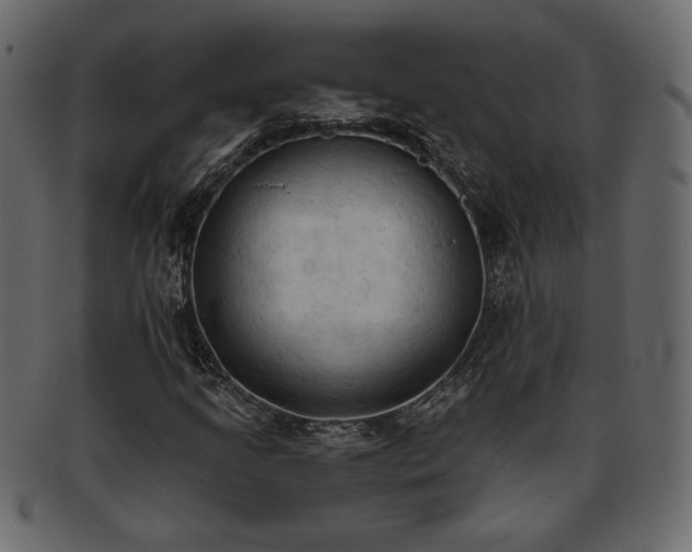 X0000093381205200710191128