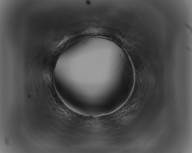 X0000093381206200710191128