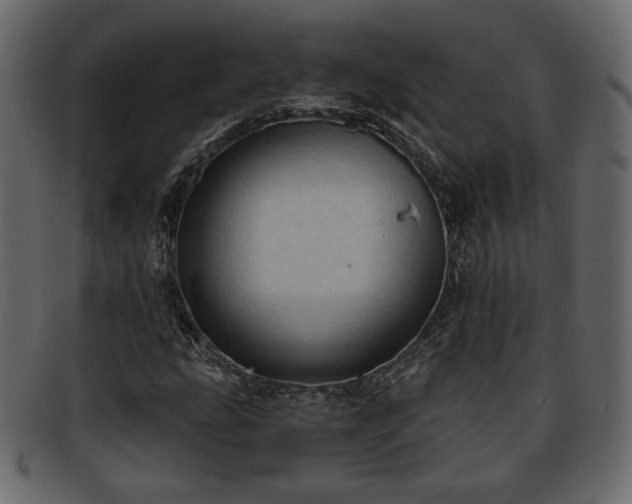 X0000093381207200710191128