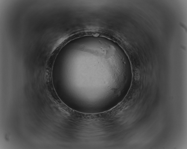 X0000093381208200710191128