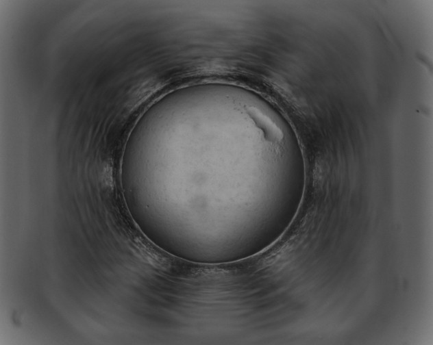 X0000093381209200710191128