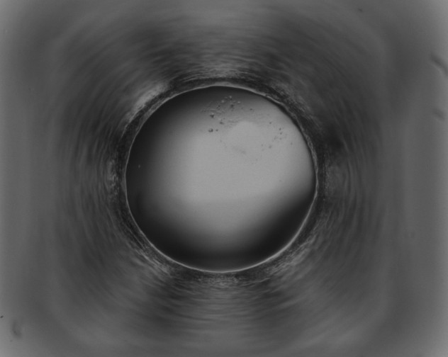 X0000093381210200710191128
