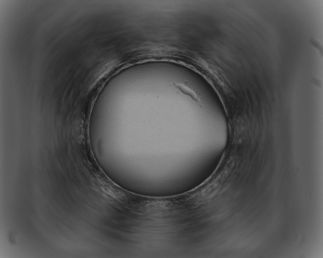 X0000093381211200710191128