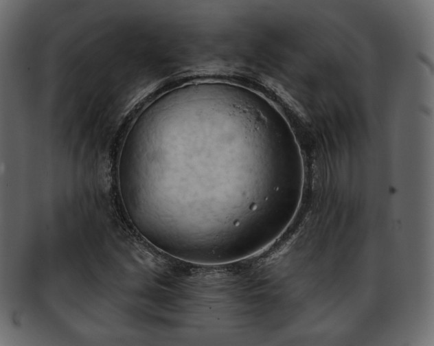 X0000093381213200710191128